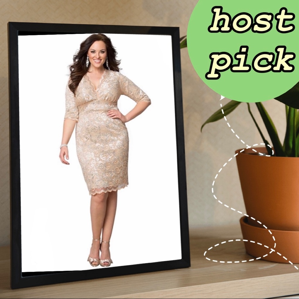 EUC Kiyonna Scalloped Boudoir Lace Sheath Dress 3X